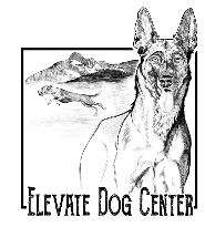 Elevate Dog Center Logo