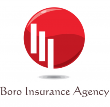 Boro Insurance Agency Logo