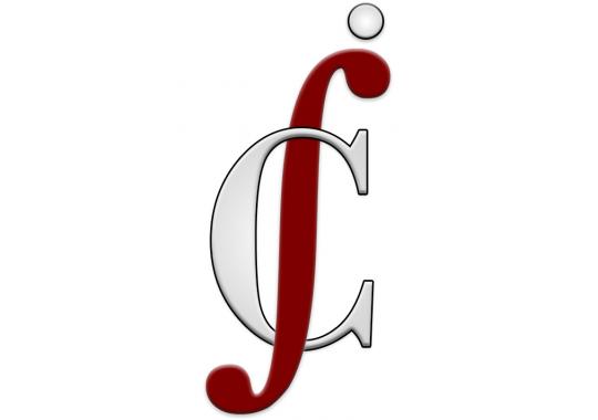 Integral Consulting, LLC Logo