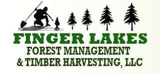 Finger Lakes Forest Management & Timber Harvesting, LLC Logo