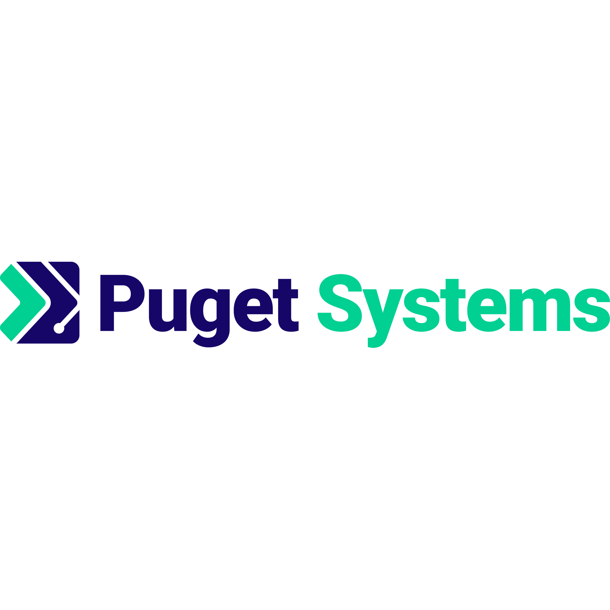 Puget Sound Systems, Inc. Logo