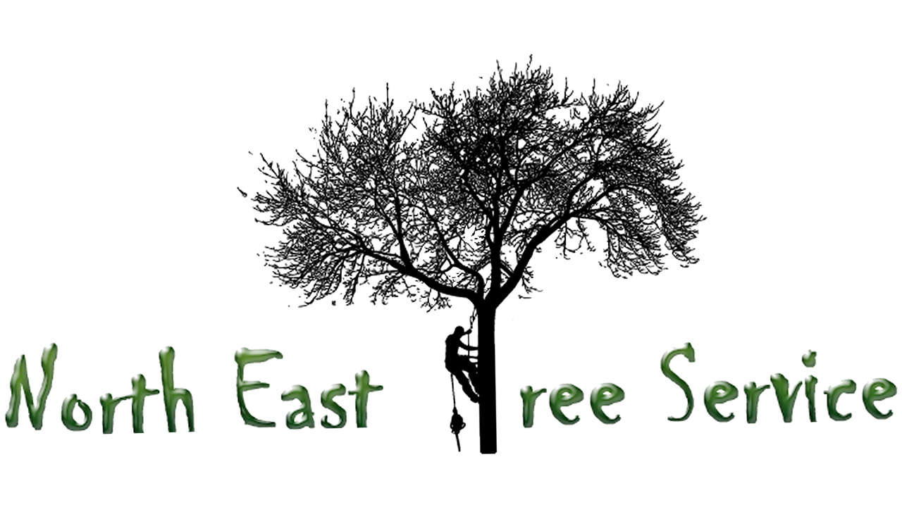 North East Tree Service Logo