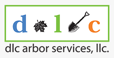 DLC Arbor Services LLC Logo
