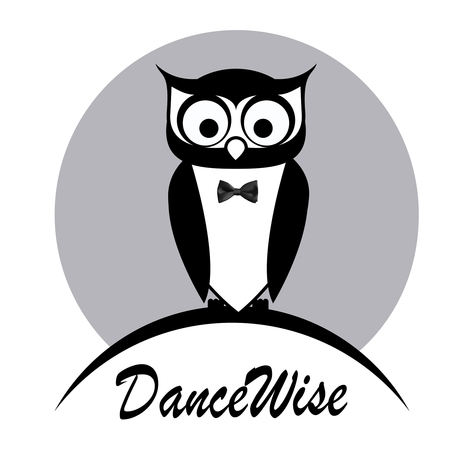 DanceWise Dance Studio Logo