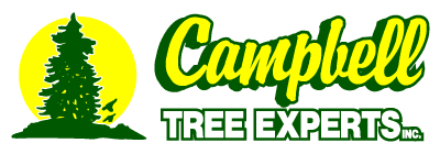 Campbell Tree Experts Inc. Logo