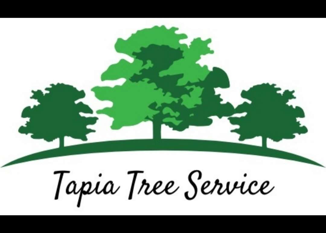 Tapia Tree Service Logo