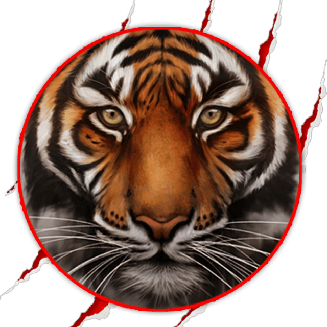 Glass Tiger Window Tinting Logo