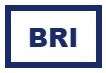 Blue Ridge Internet Logo