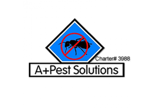 A+ Pest Solutions, Inc. Logo