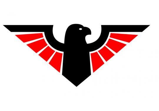 Eagle Printing & Buttons Inc Logo