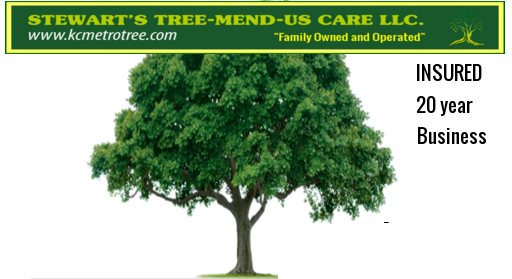 Stewart's Tree-Mend-Us Care LLC Logo