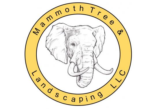 AAA Mammoth Tree & Landscaping, LLC Logo