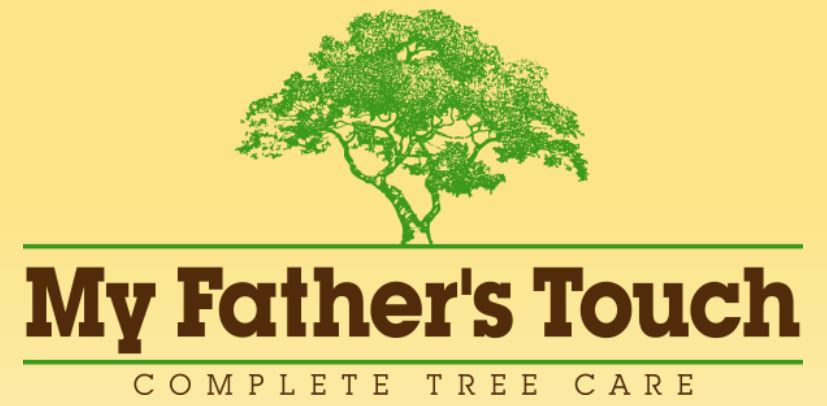 Father's Touch, Inc. Logo