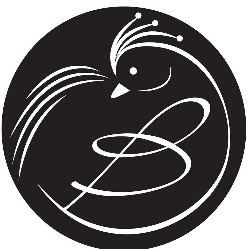 Boise Image Enhancement Centre, Inc. Logo