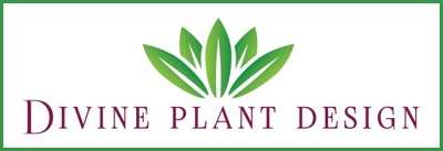 Divine Plant Design Logo
