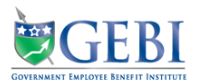 GEBI Logo