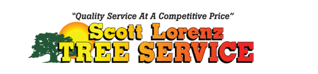 Scott Lorenz Tree Service Logo