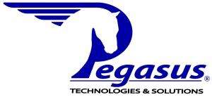Pegasus Technologies & Solutions, Inc. Logo