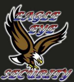 Eagle Eye Security, Inc. Logo