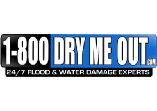 1-800-DRY-ME-OUT Logo