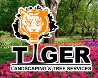 Tiger Landscape & Tree Service Logo