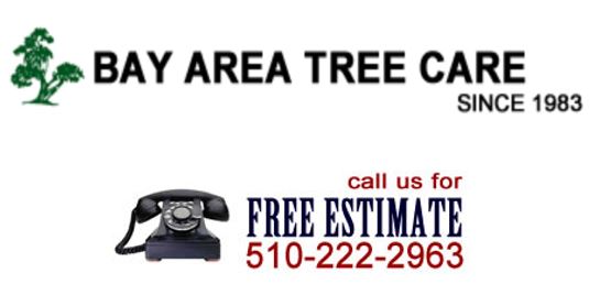 Bay Area Tree Care, Inc. Logo