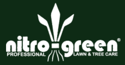 Nitro Green & Christmas Decor Logo
