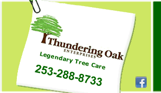 Thundering Oak Enterprises Inc Logo