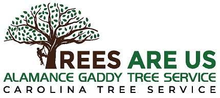 Trees Are Us, Inc Logo