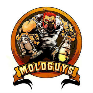 Moldguys Restoration, LLC Logo