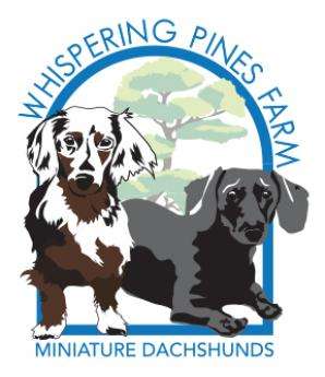 Whispering Pines Farm Miniature Dachshunds Logo