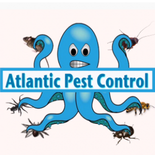 Atlantic Pest Control, Inc. Logo