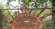 Dave's Organic Gardening Logo
