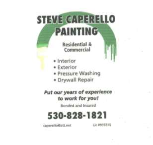 Steve Caperello Painting Logo