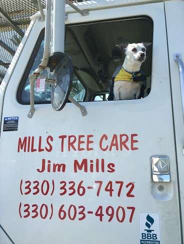 Mills Tree Care, LLC Logo