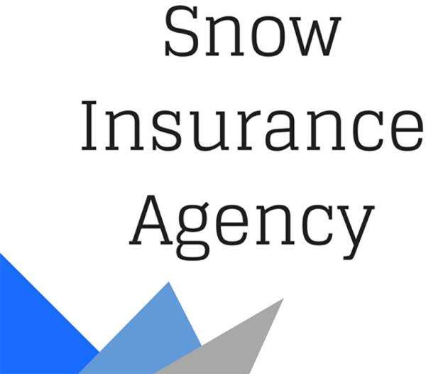 Snow Insurance Agency of Hillsville, Inc. Logo