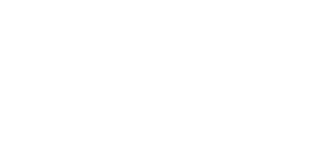 Vanport International Inc Logo