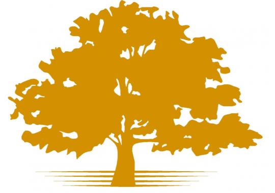 Cottonwood Renovations Logo