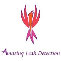 Amazing Leak Detection Logo