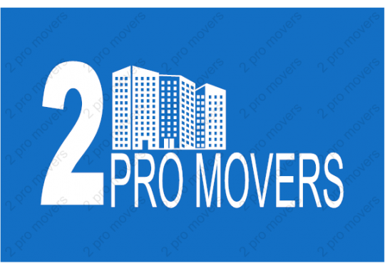 2 Pro Movers Logo