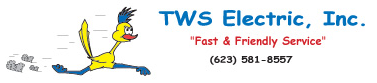 TWS Electric Inc Logo