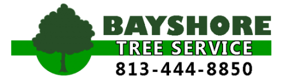 Bayshore Tree Service Logo