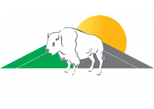 Bison Roofing & Solar LLC Logo