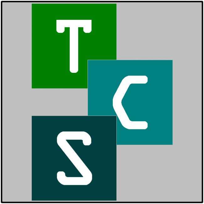 Technology Consulting Services LLC Logo