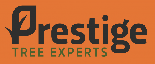 Prestige Tree Experts Logo