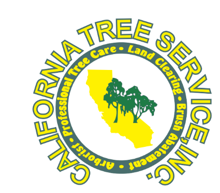 California Tree Service Inc Logo