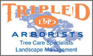 Triple D Arborists and Landscape Management Logo
