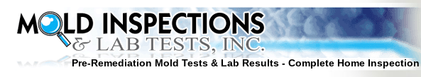 Mold Inspections & Lab Tests Inc Logo