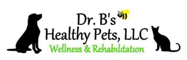 Dr. B's Healthy Pets, LLC Logo