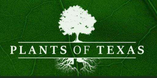 Plants of Texas Logo